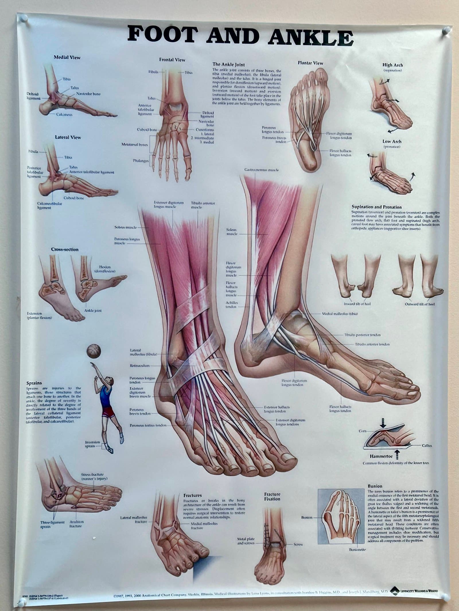 Kerrisdale Family Foot Clinic photo 1 of 2