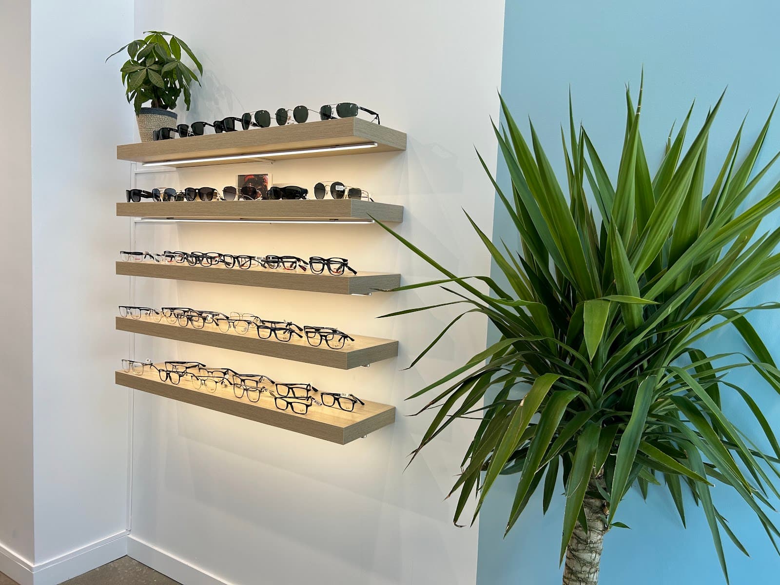 Lakeview Vision | Optometry, Eyewear & Specialty Contact Lens photo 3