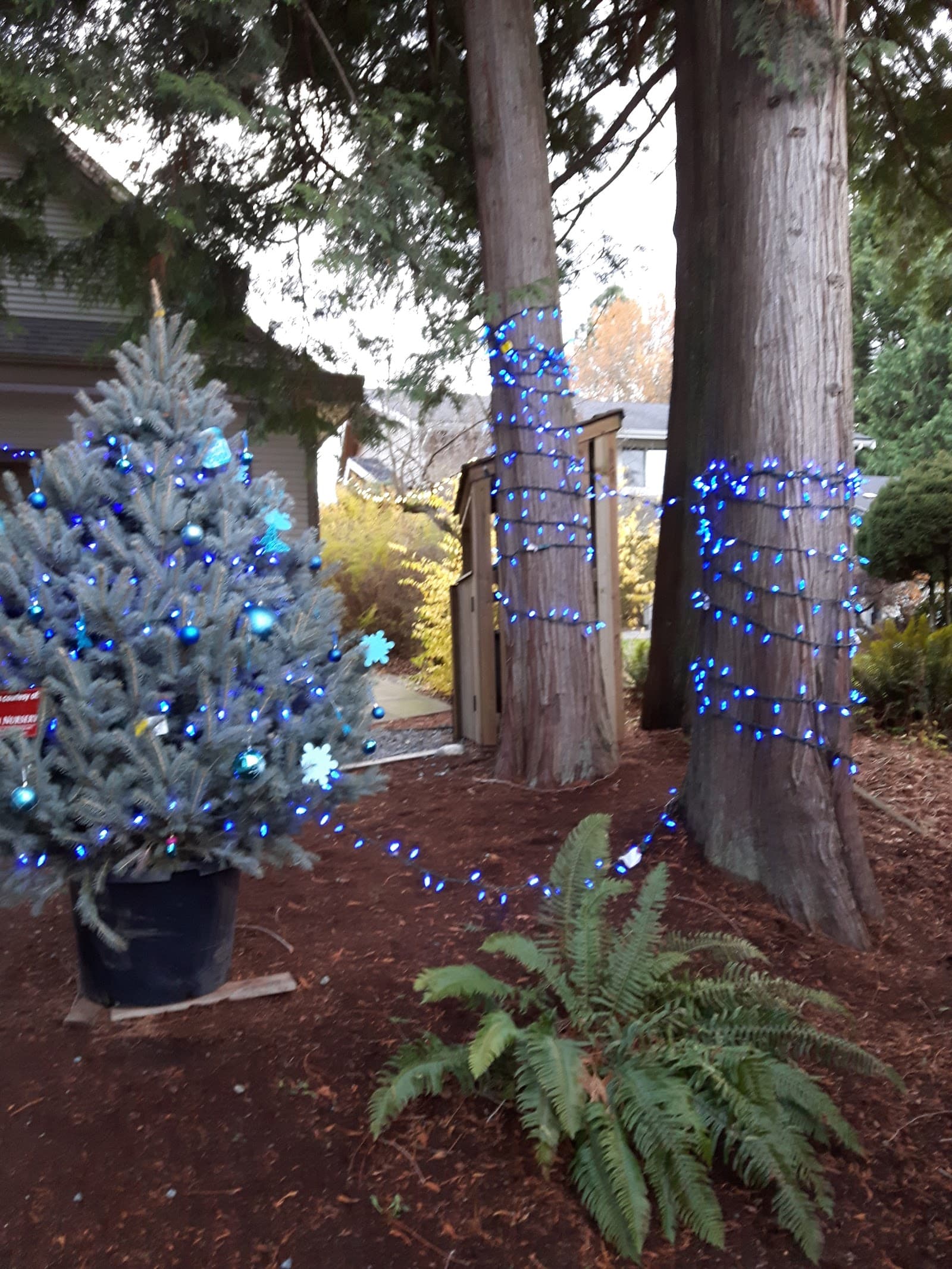 Langley Hospice Society photo 2
