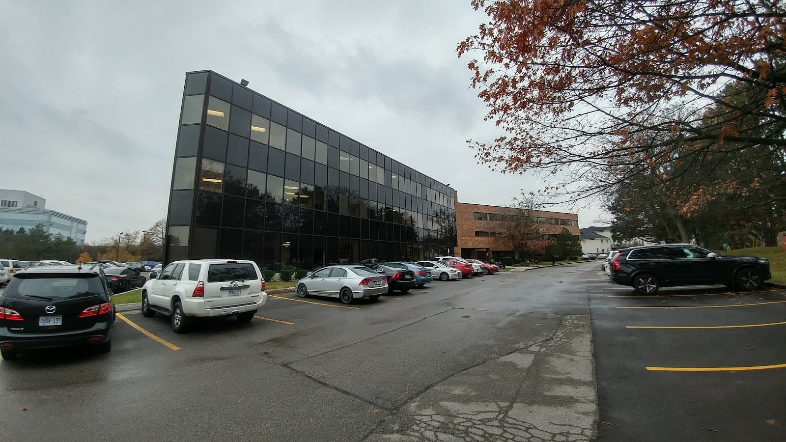 Lifeline Canada photo 1