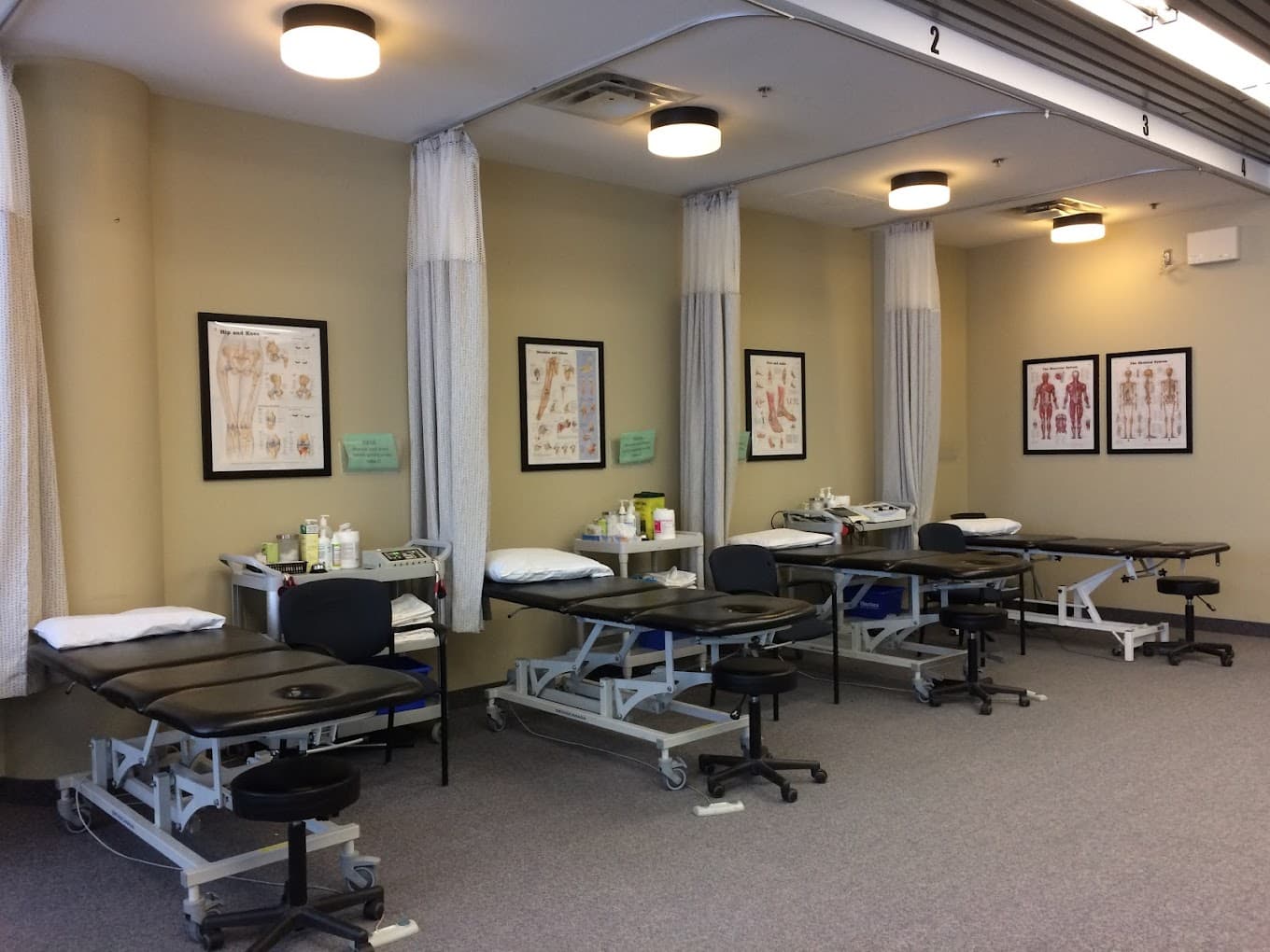 Lifemark Physiotherapy & Sport Medicine Rouge Valley, physiotherapy in Toronto, photo 2