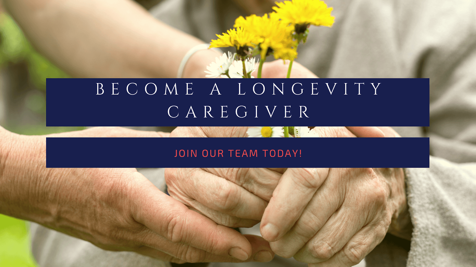 Longevity Care photo 1 of 4