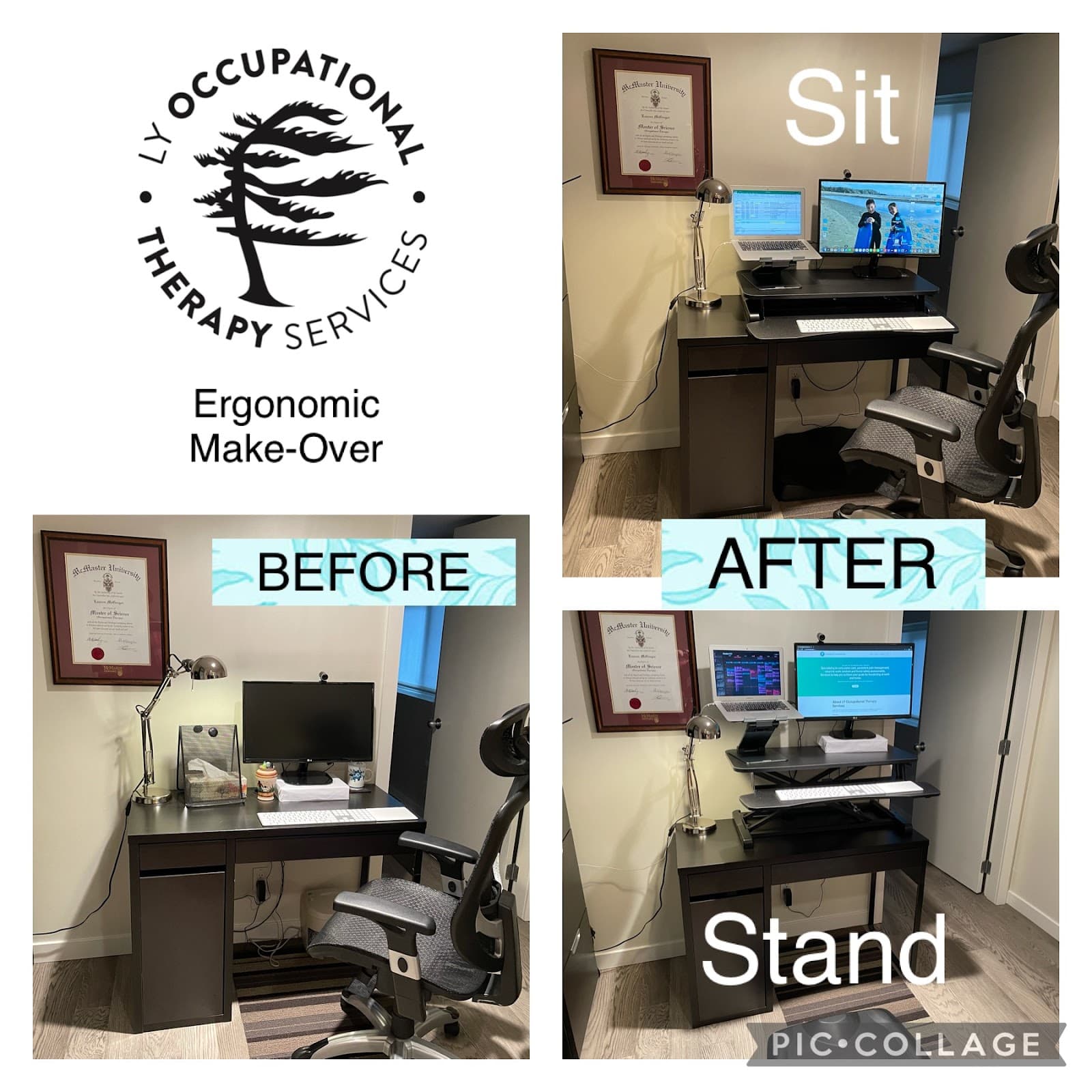 LY Occupational Therapy Services