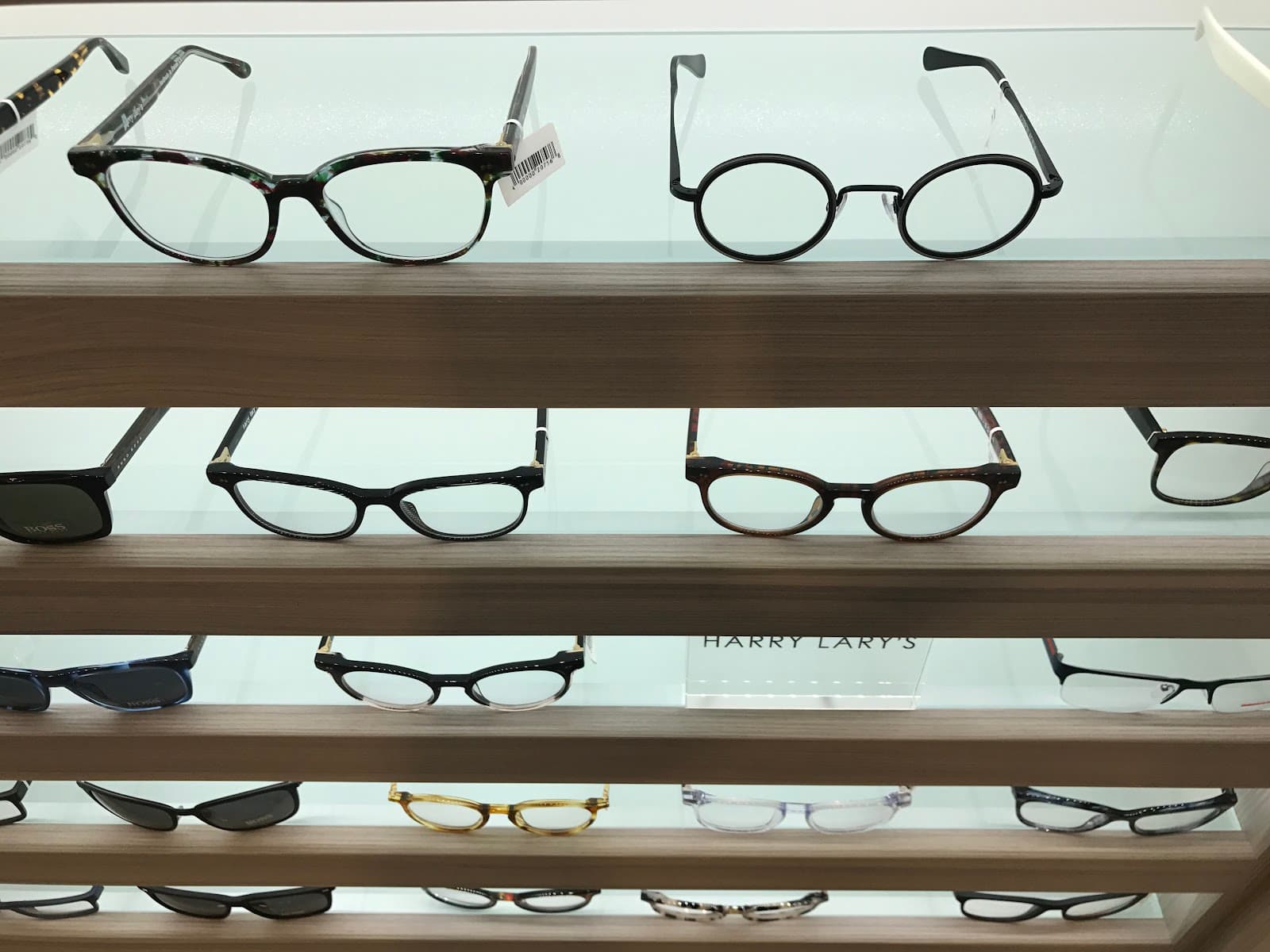 Macleod Optometry by Optical Warehouse photo 5
