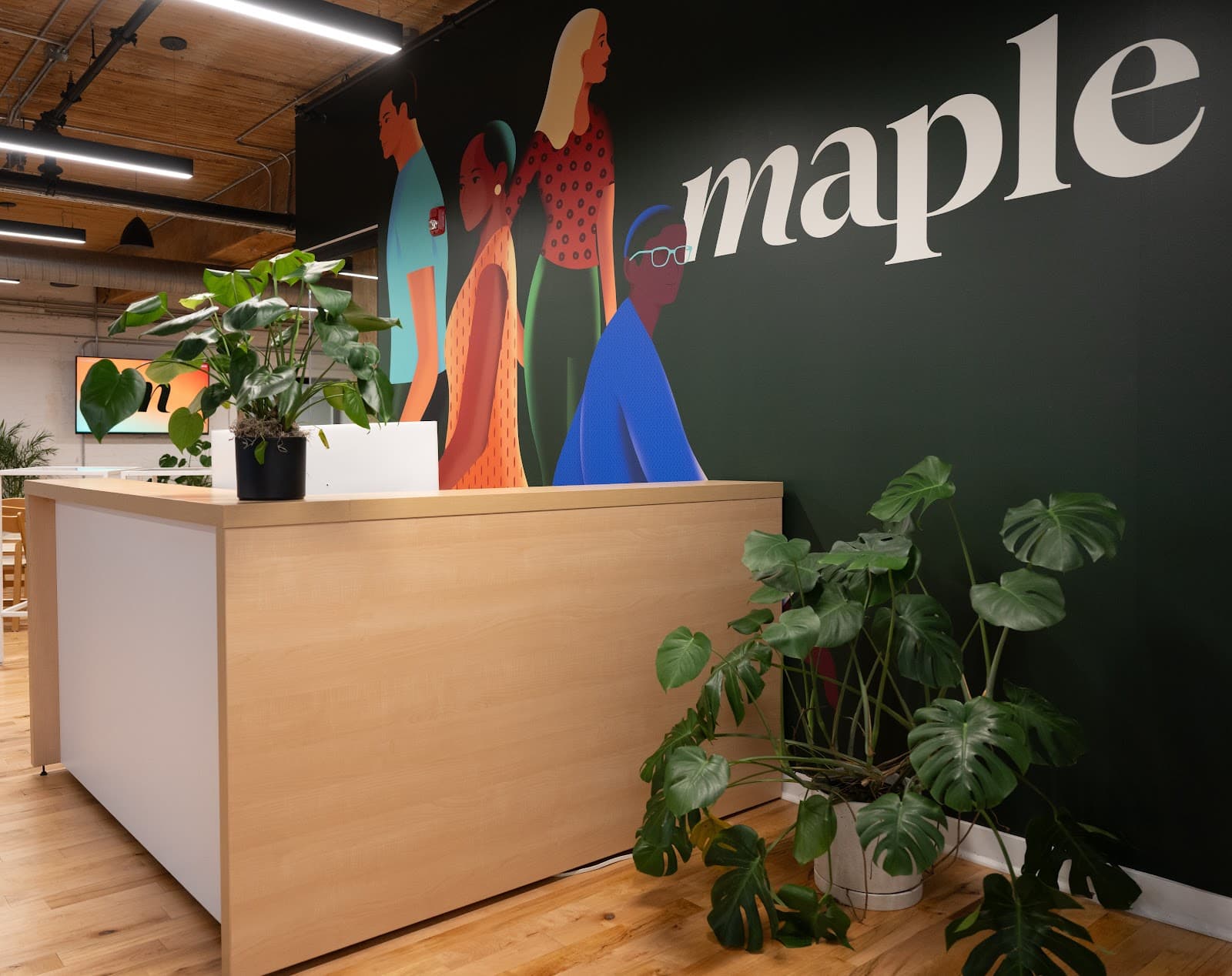 Maple photo 1