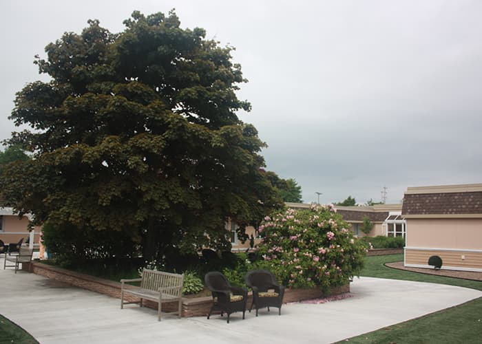 Maplestone Enhanced Care photo 2