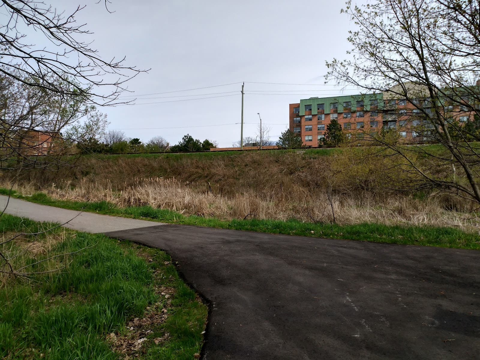 Markham Seniors Activity Centre photo 1
