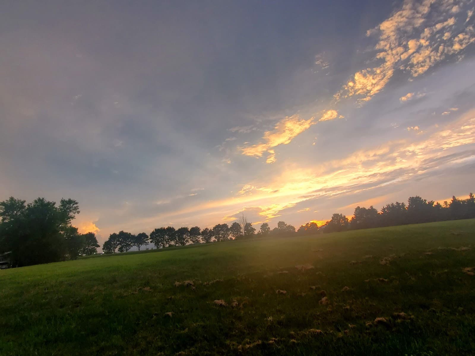 Martin Grove Village | A Parkbridge Family Community photo 1 of 2