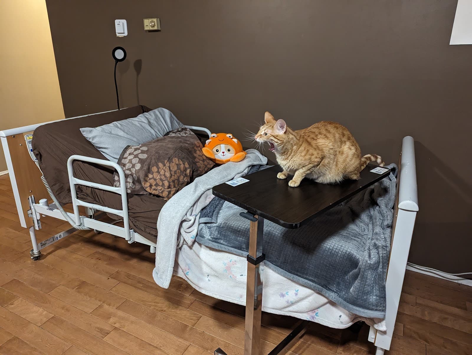 Medical Rental Equipment photo 3