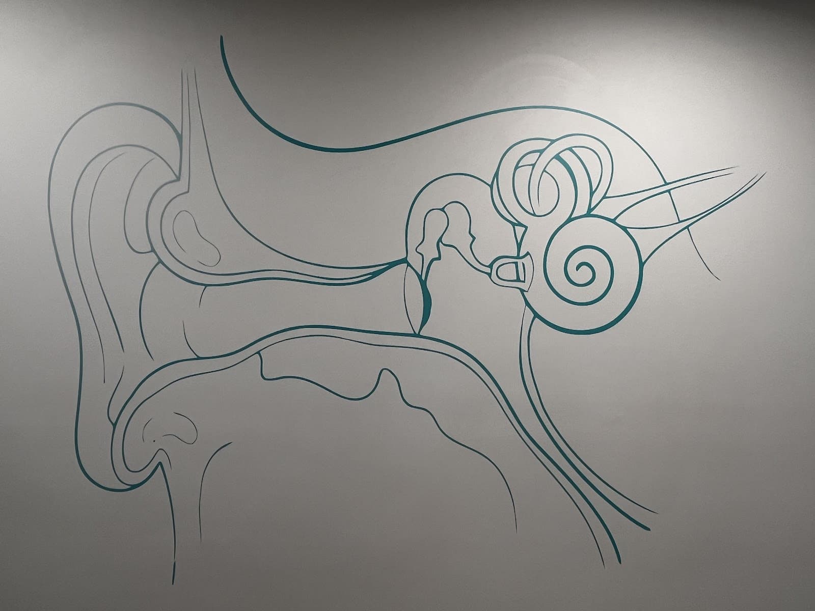 Melody Audiology & Hearing Clinic photo 4