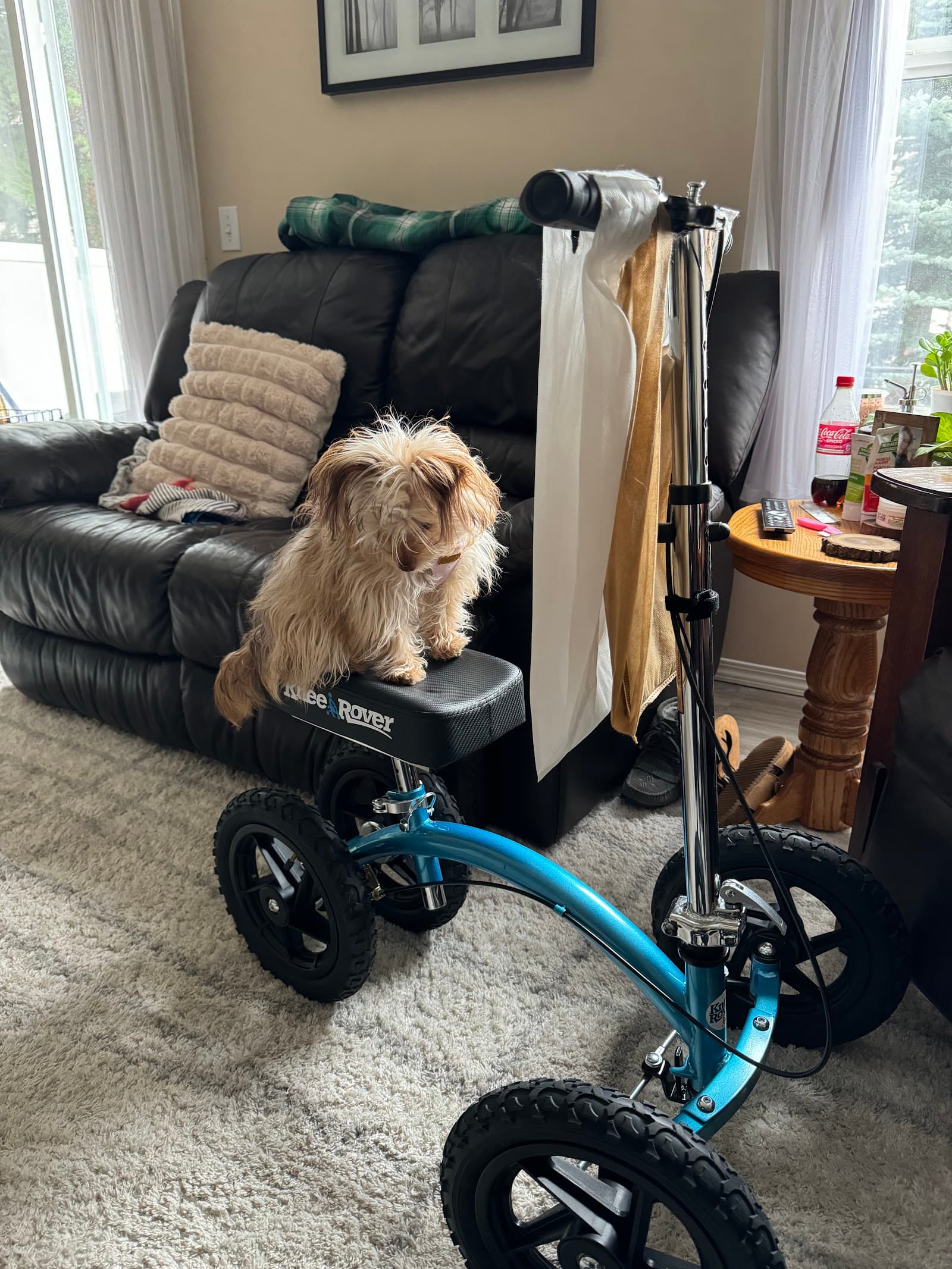 Mend Mobility