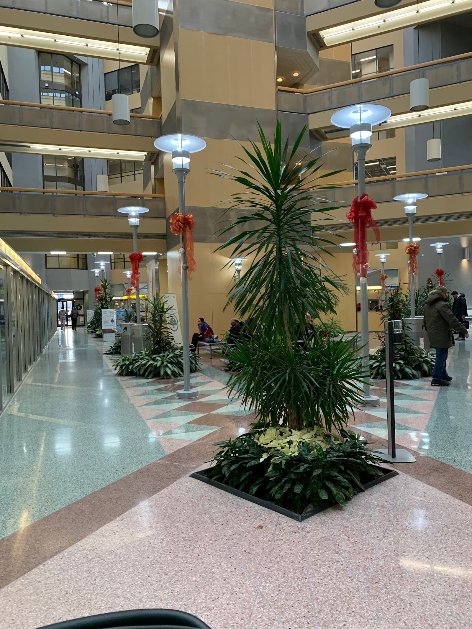 Mississauga Vision Centre photo 3