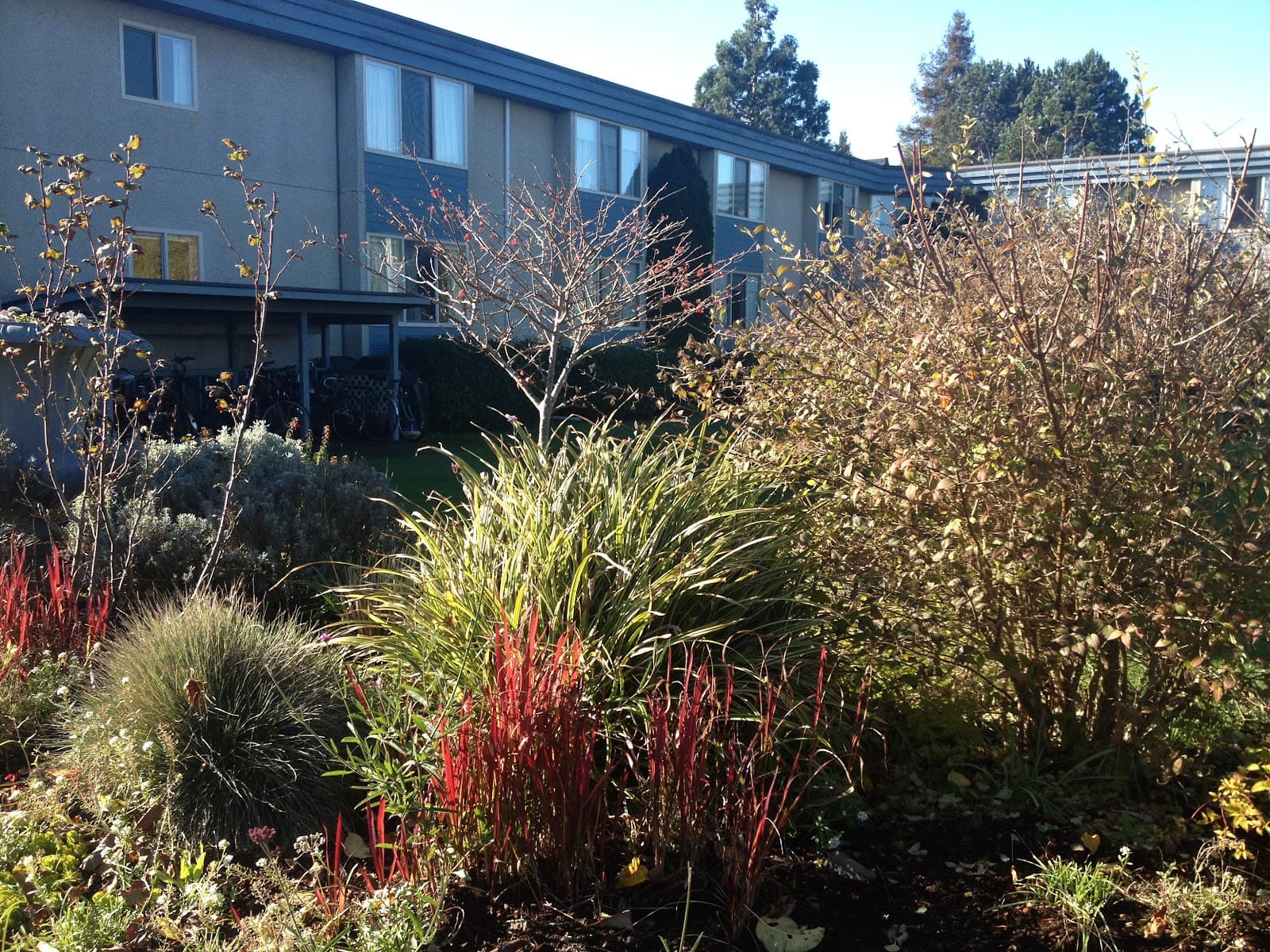 Mount Douglas Seniors Housing Society photo 2