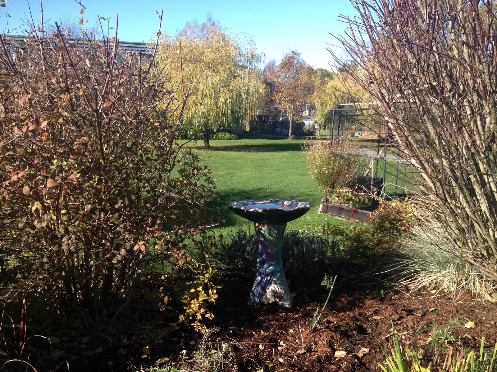 Mount Douglas Seniors Housing Society photo 3