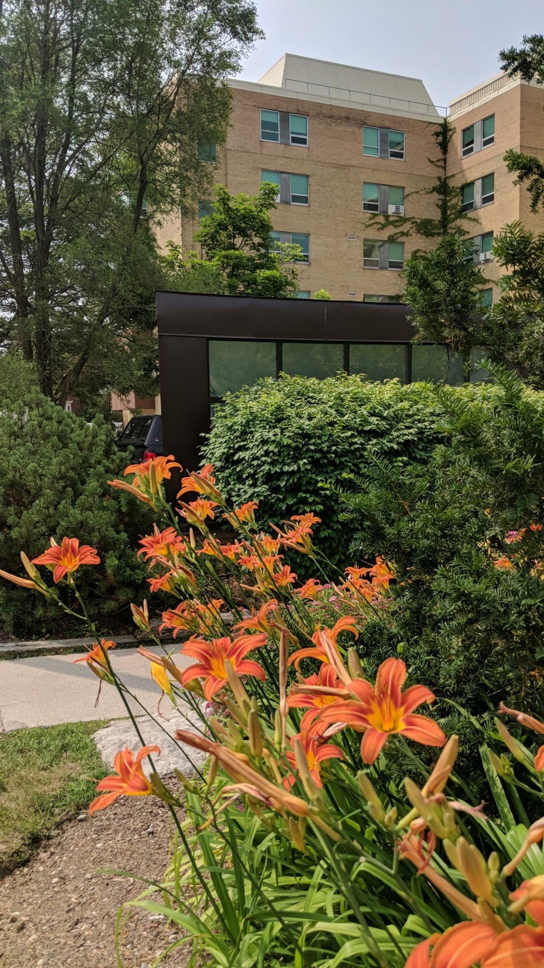 Mount Hope Centre for Long Term Care photo 3