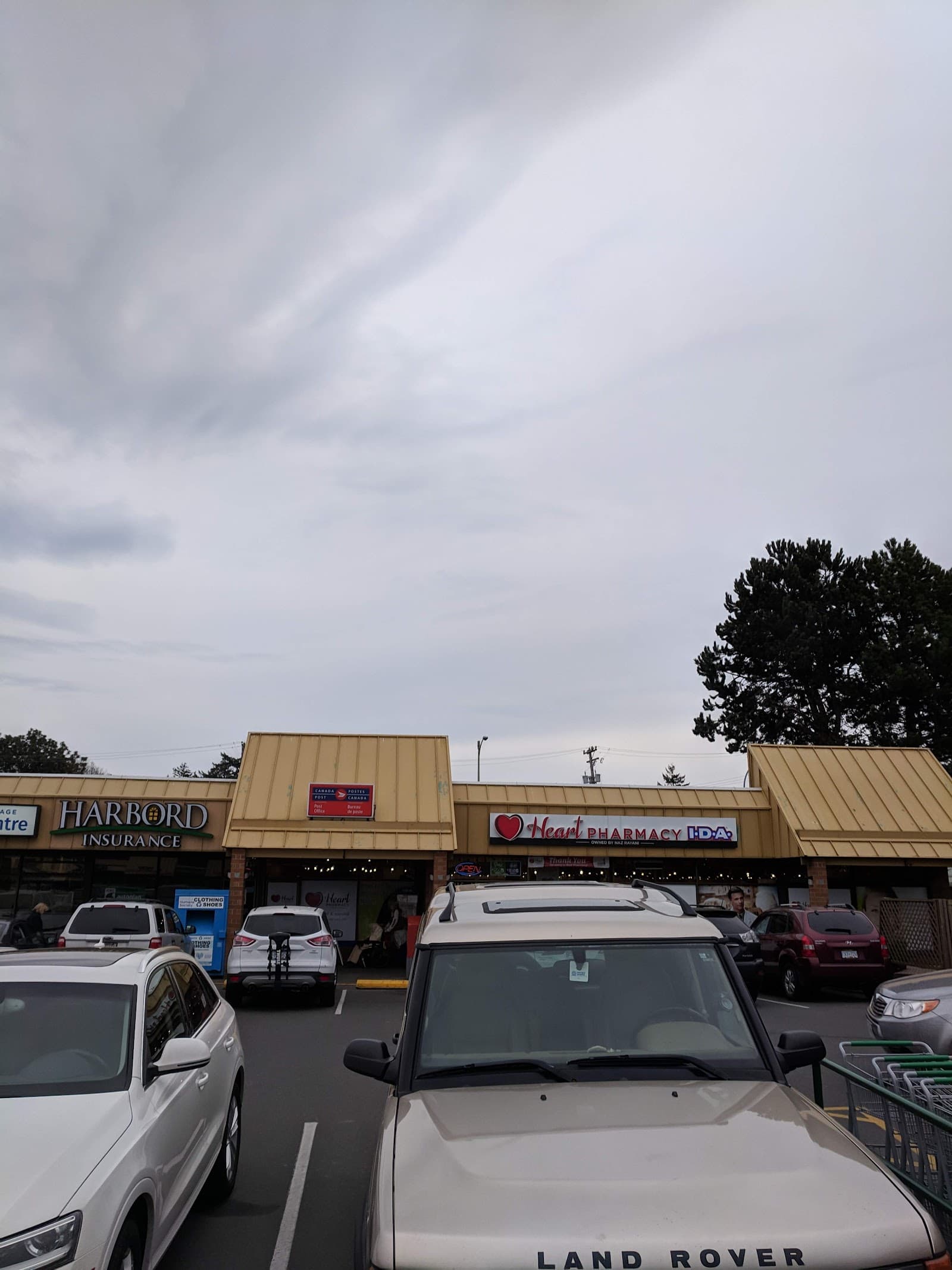 Navacord (Formerly Waypoint Insurance) photo 2
