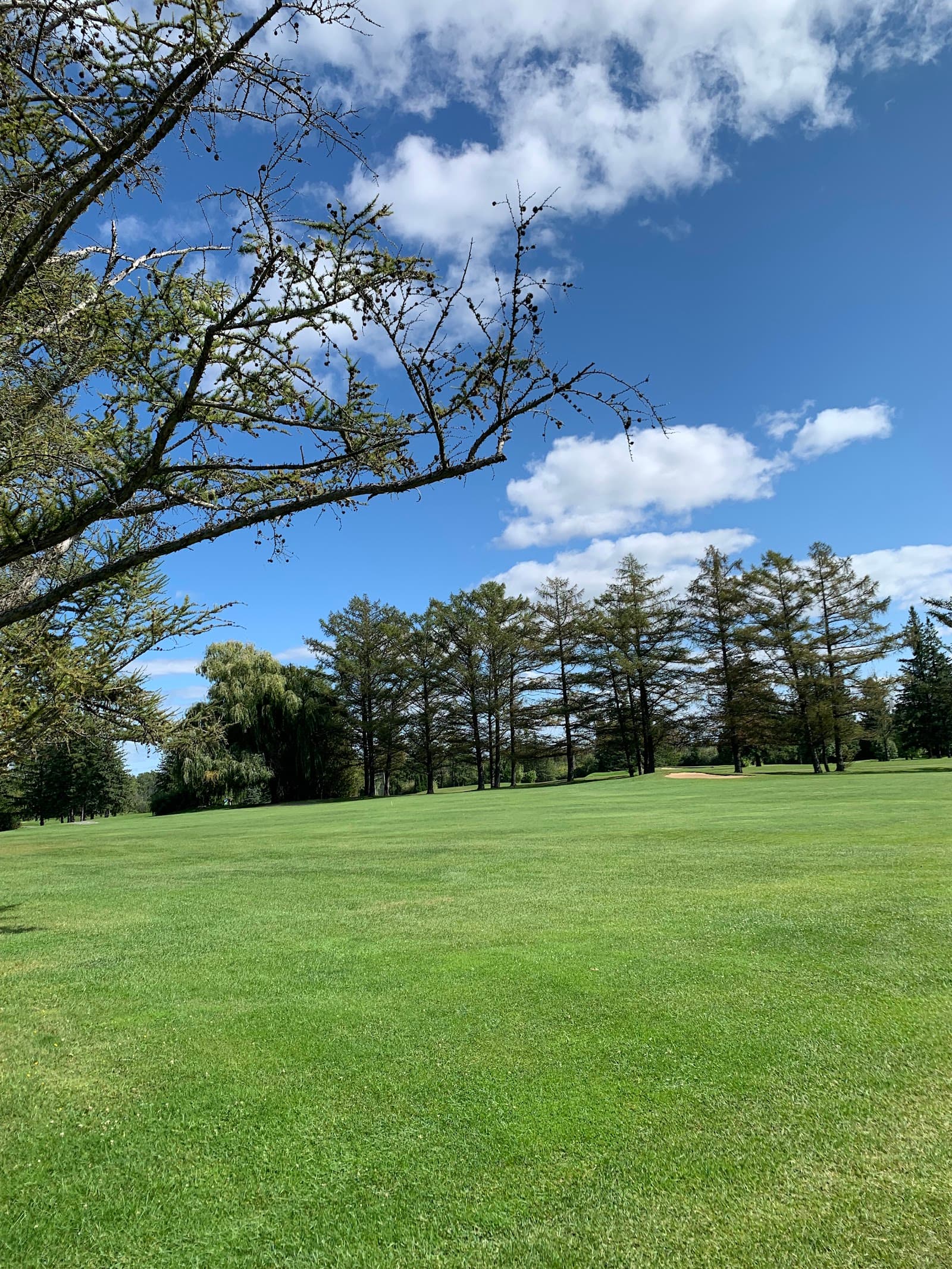 New Orchard Lodge photo 3