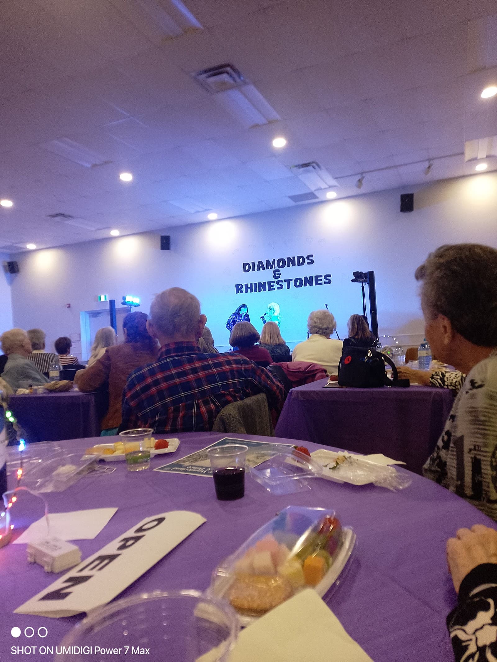 Newmarket Seniors' Meeting Place photo 2