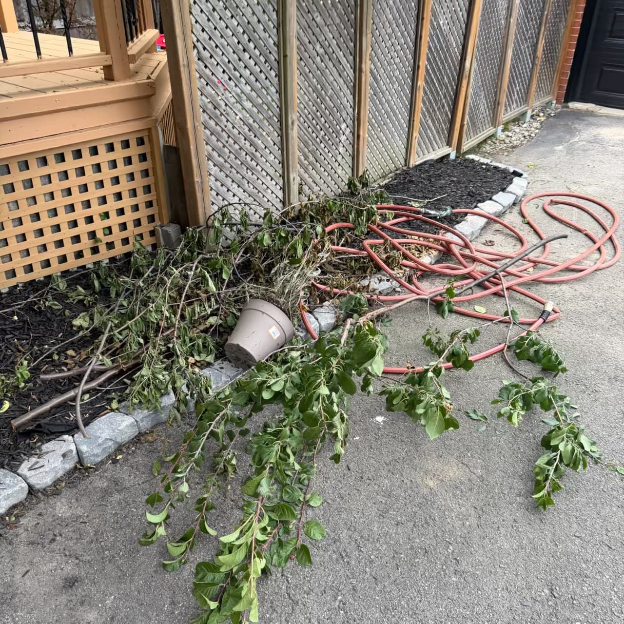 North York Junk Removal, donations & junk removal in Toronto