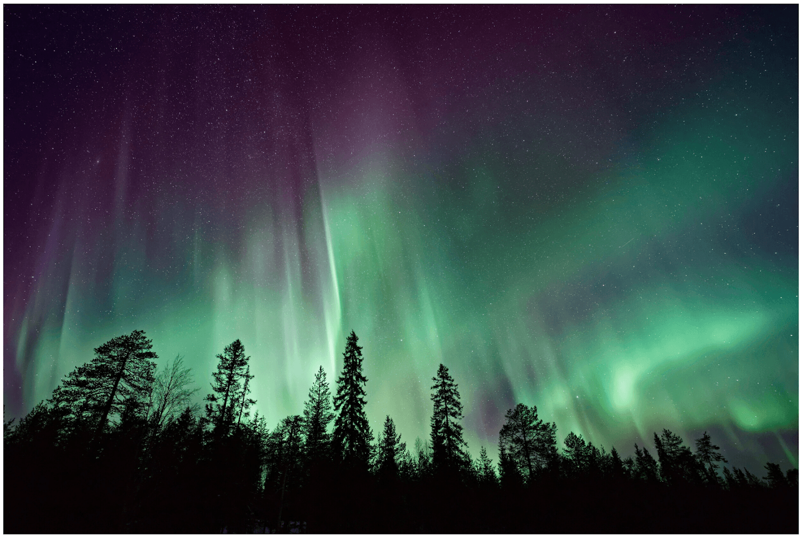 Northern Lights Hearing Centres - Tuxedo photo 2