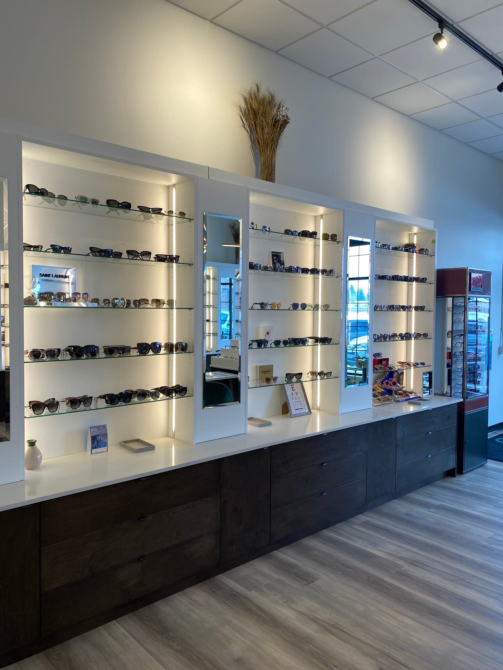 Novo Optical (Calgary NW Optometrist) photo 1