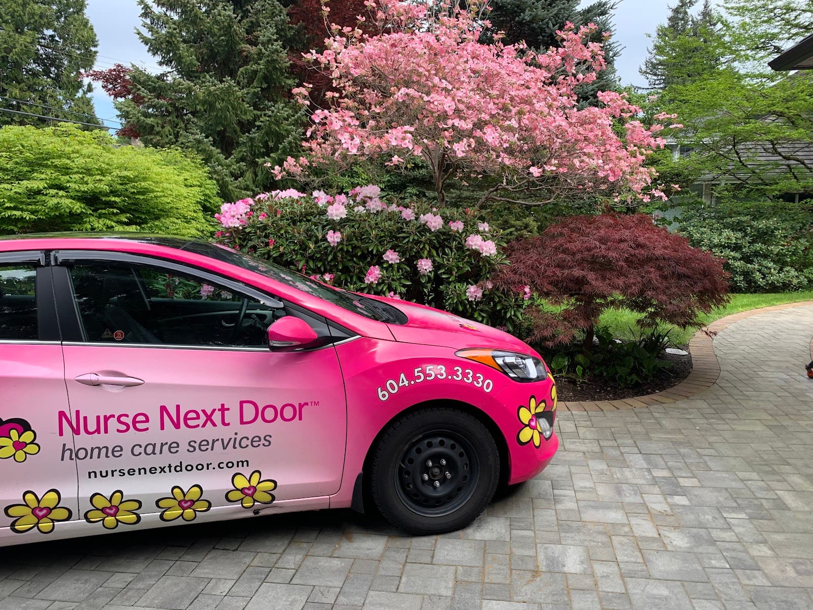 Nurse Next Door Senior Home Care Services - Burnaby, New Westminster, & Tri-Cities photo 1