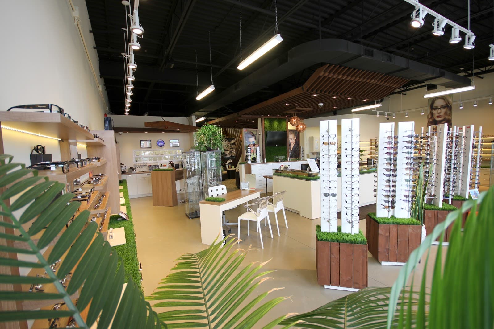 Oasis Optique photo 1