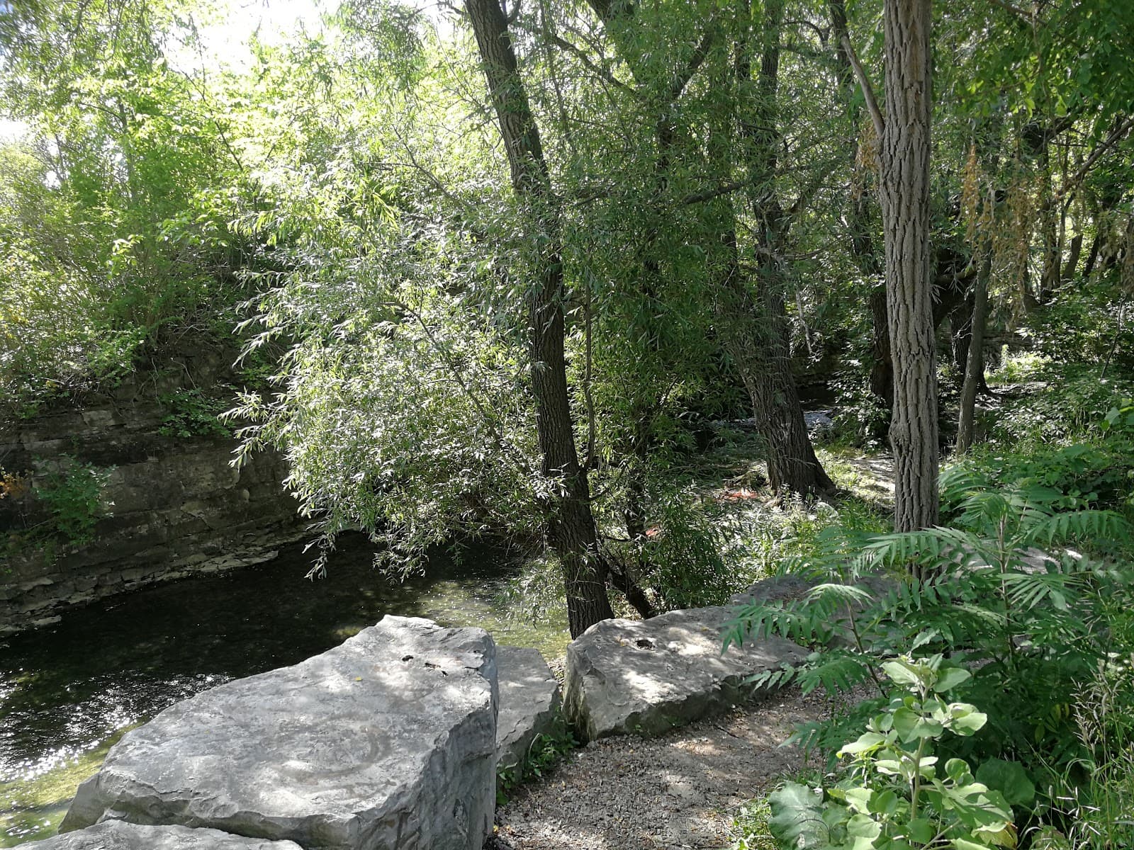 Ontario Health atHome photo 1