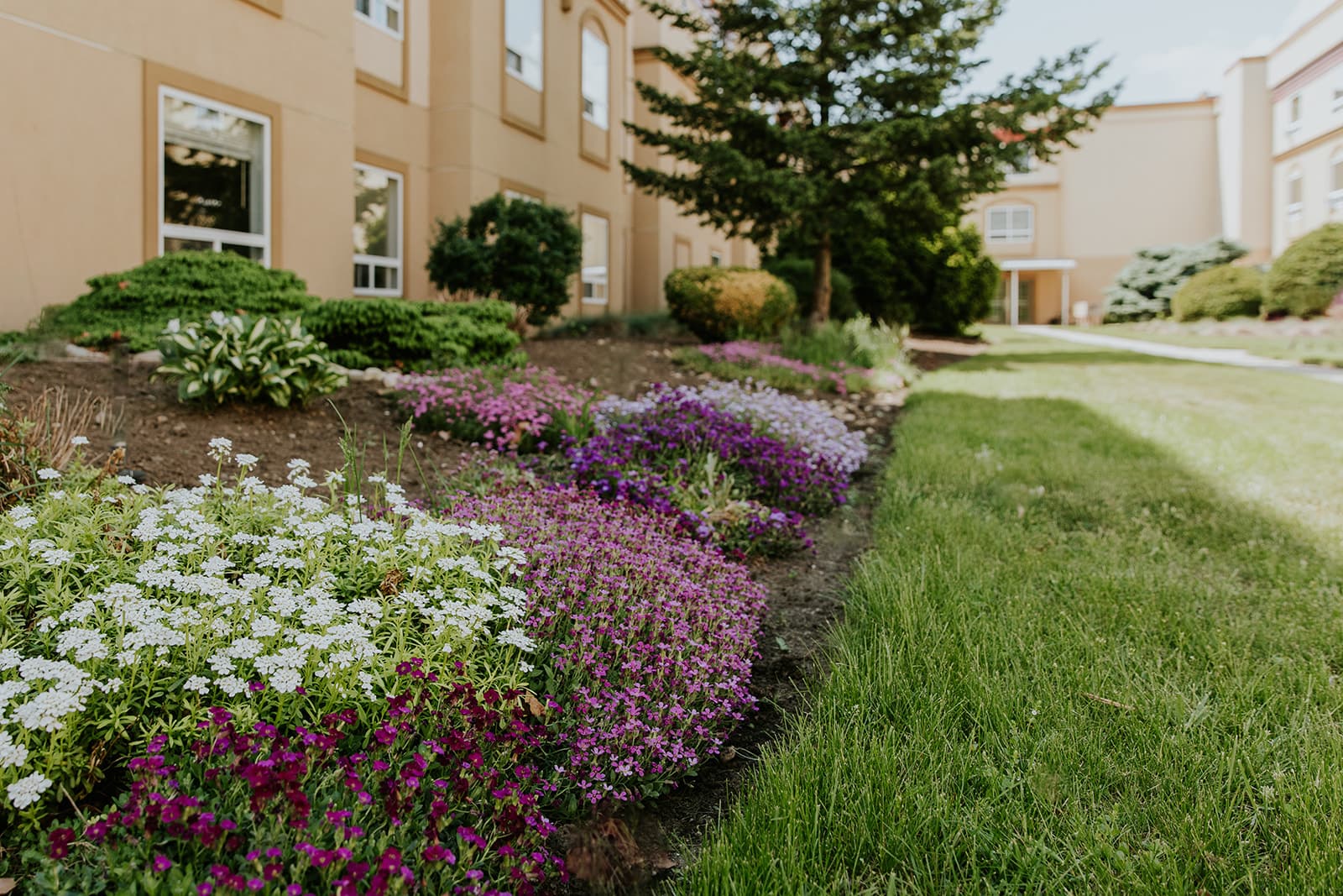 Orchard Gardens Seniors Community