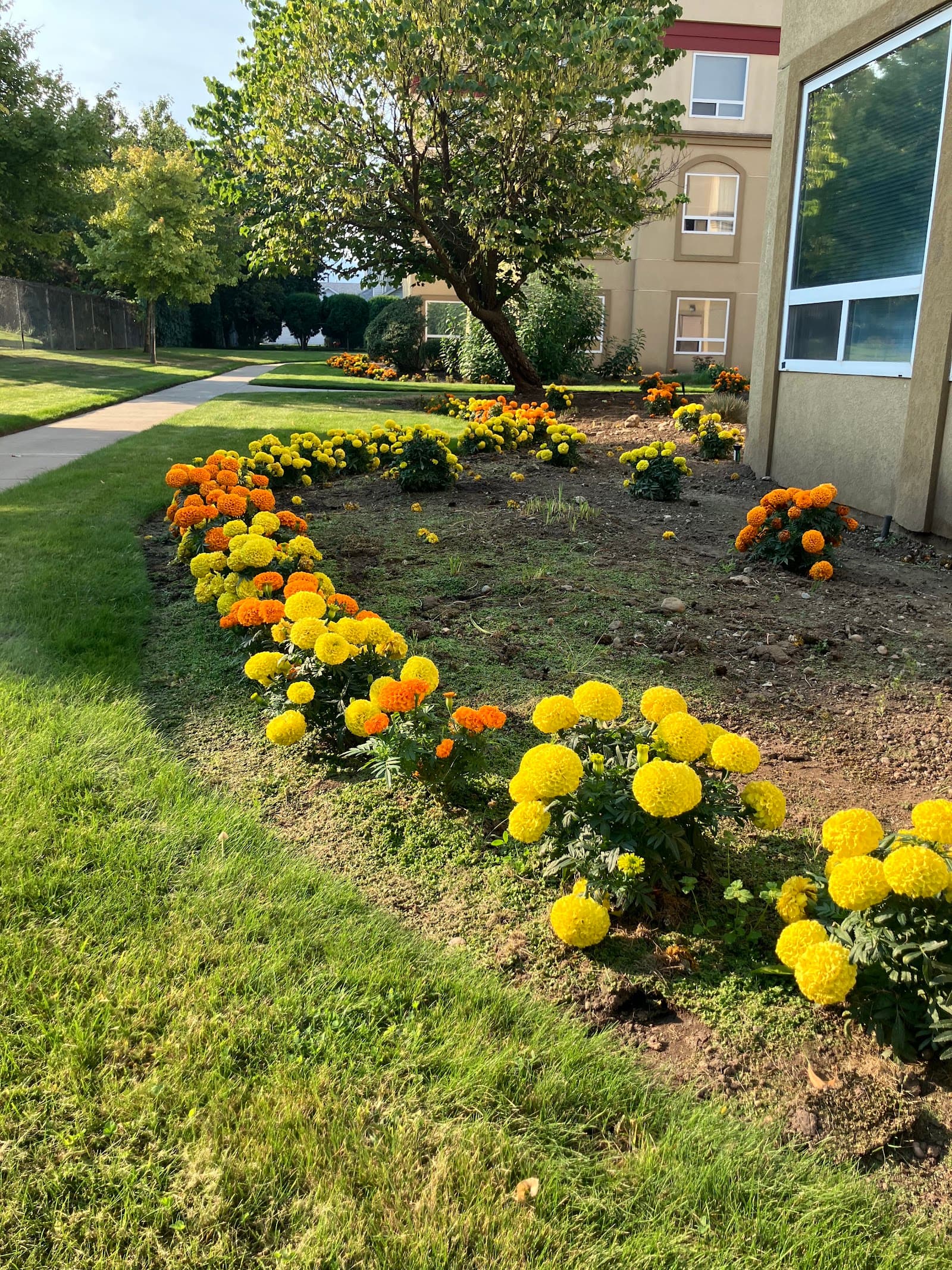 Orchard Gardens Seniors Community photo 3