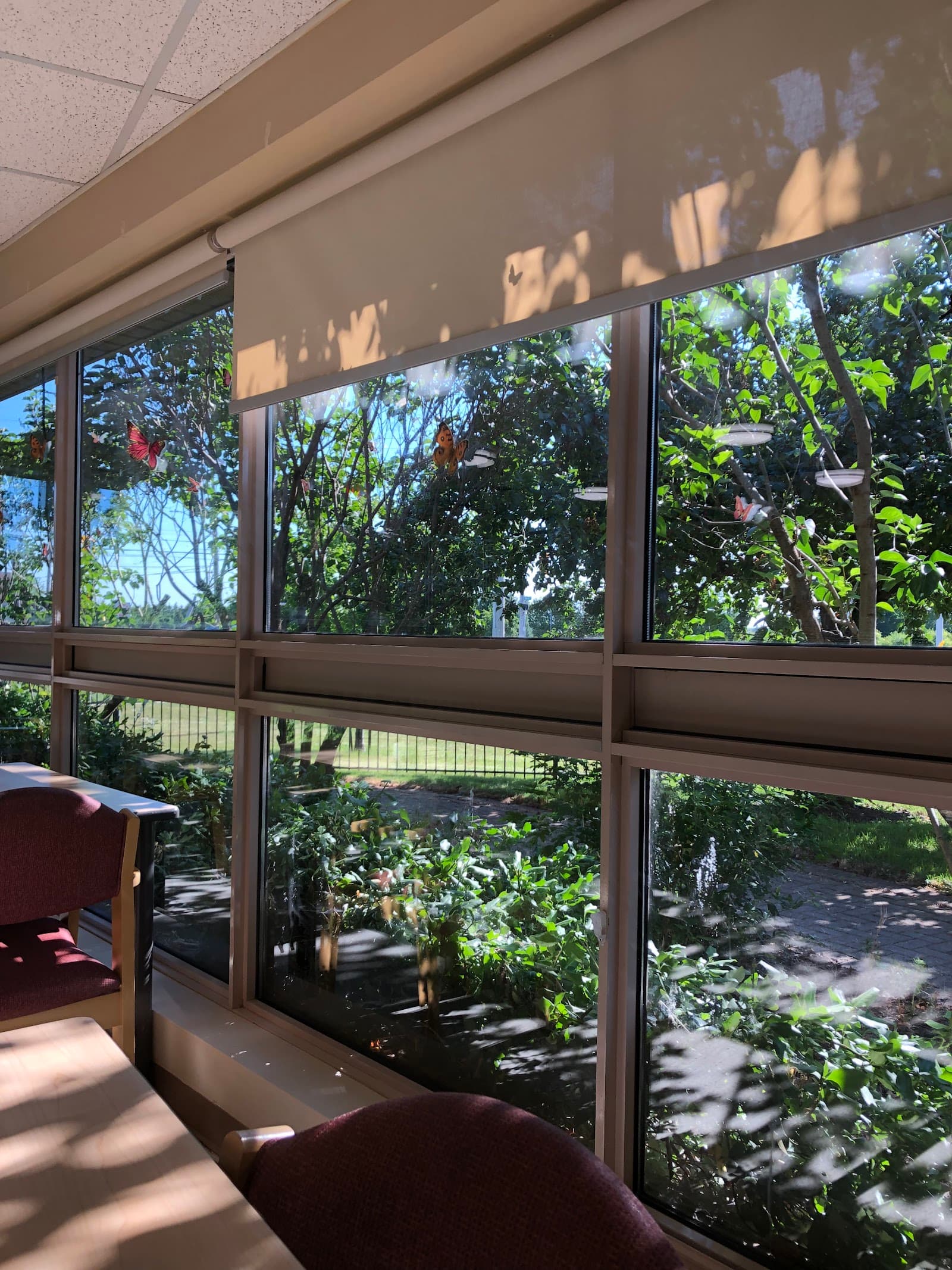 Orchard Terrace Care Centre photo 2