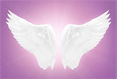 Osprey Angels Home Care Services photo 3