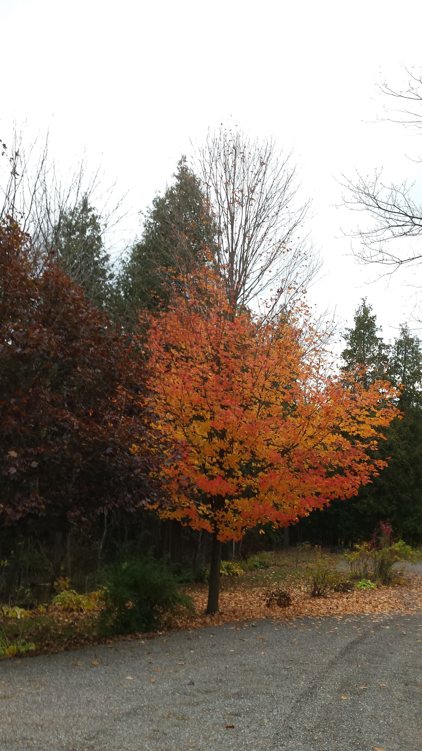 Parkside Christian Village photo 2