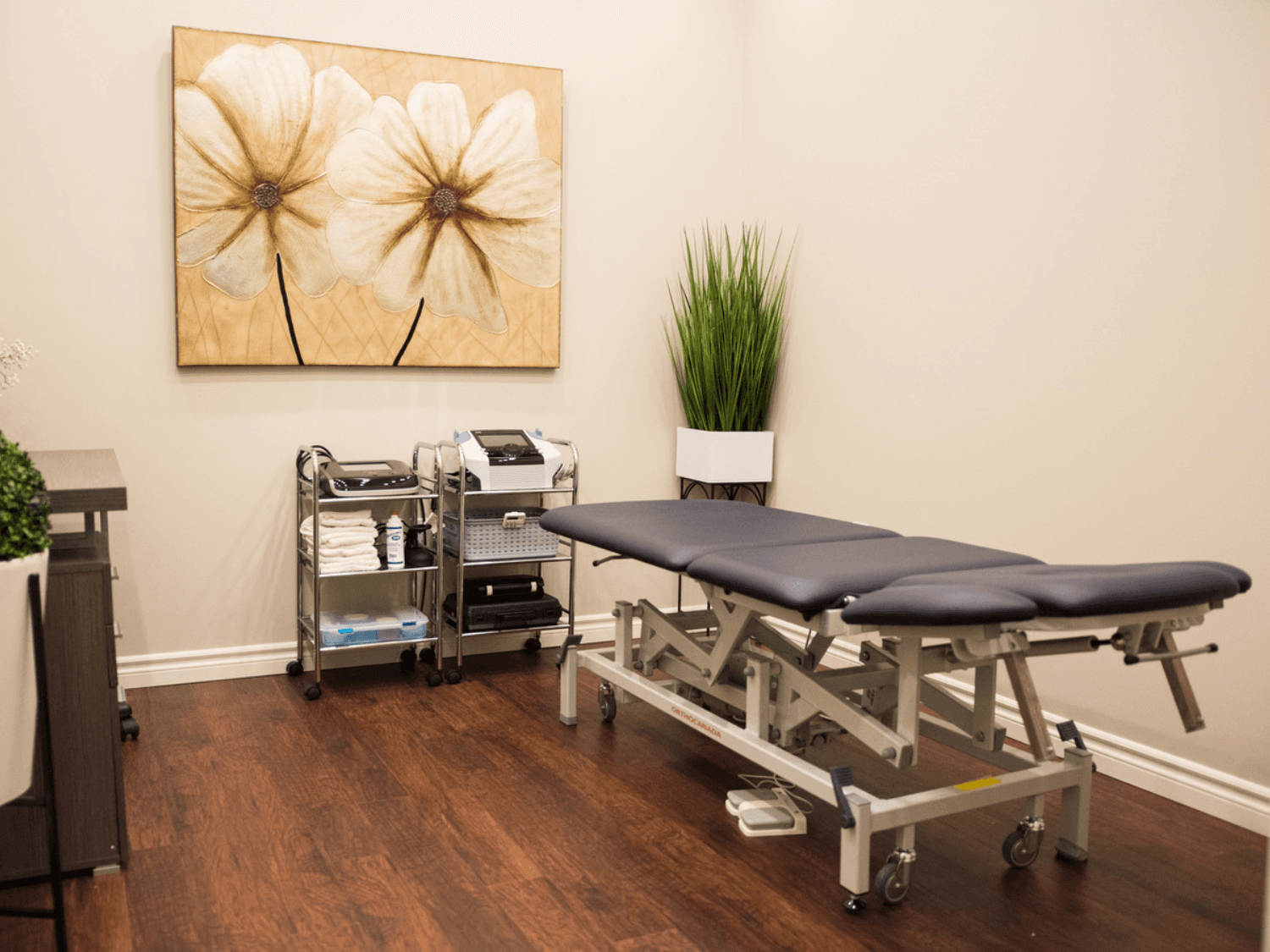 Pillars of Wellness - Burlington Physiotherapy, Counselling, Chiropractor, physiotherapy in Burlington, photo 2