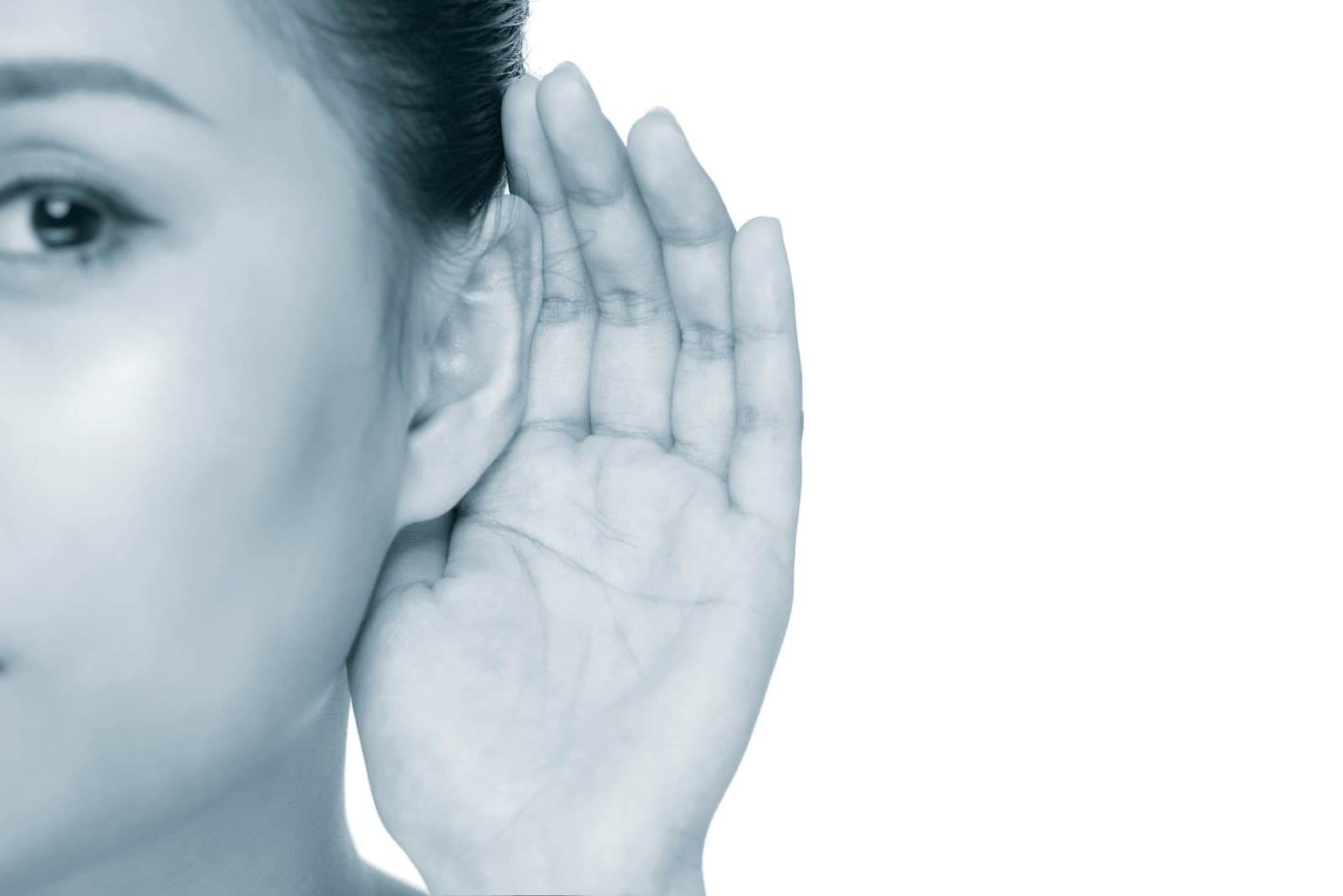 Plimmer Hearing Centre photo 3