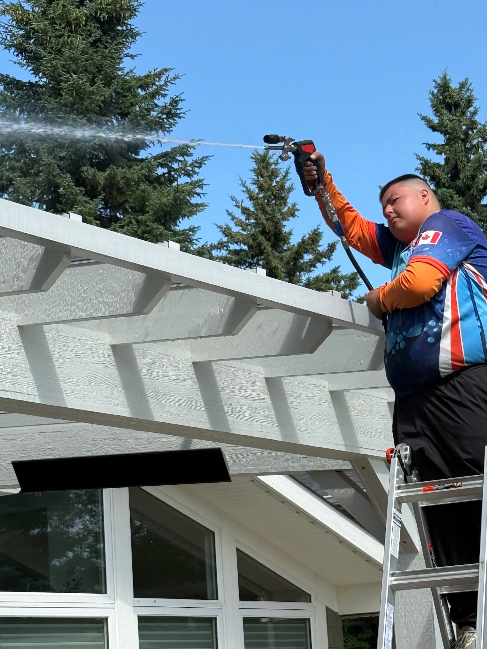 Pro Window Cleaning Calgary, eavestrough cleaning in Calgary, photo 2