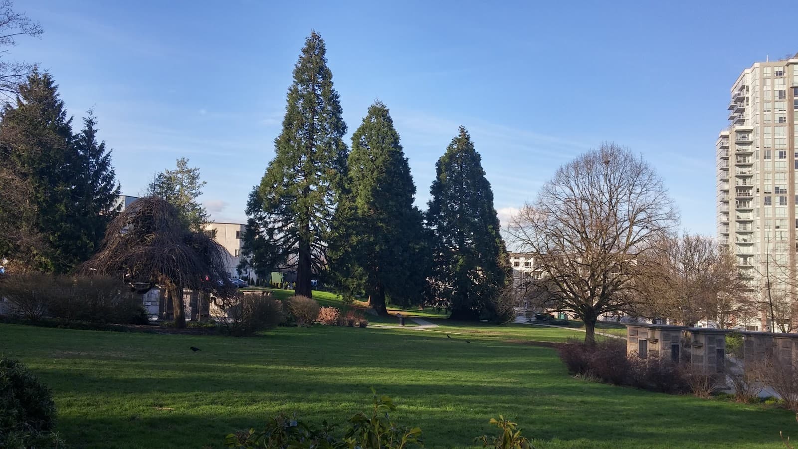 Queen's Park Care Centre photo 3
