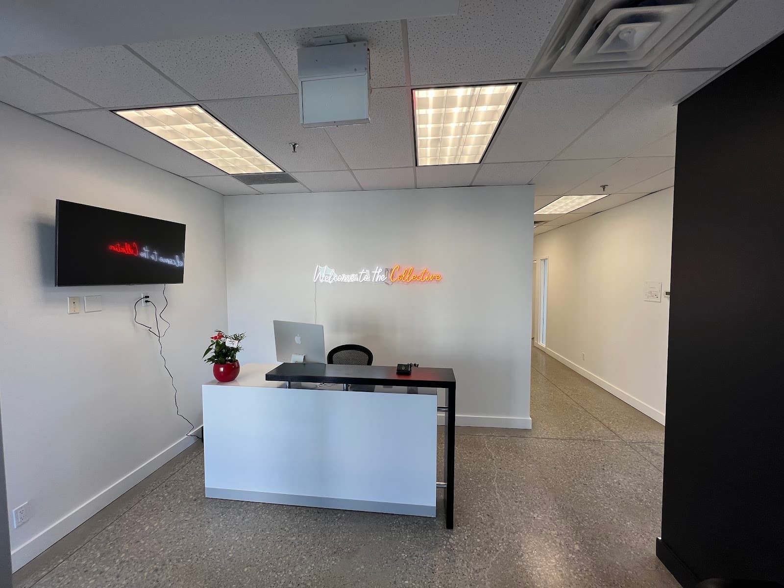 Rehab Collective Mississauga | Physiotherapy | Chiropractic | Massage Therapy photo 4