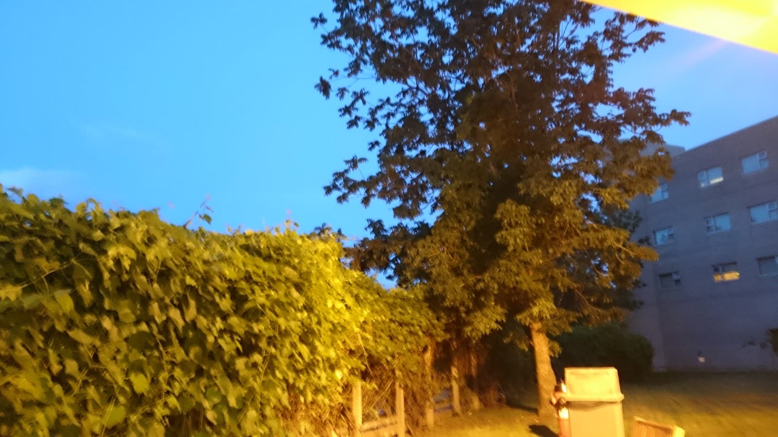 Residence Despins