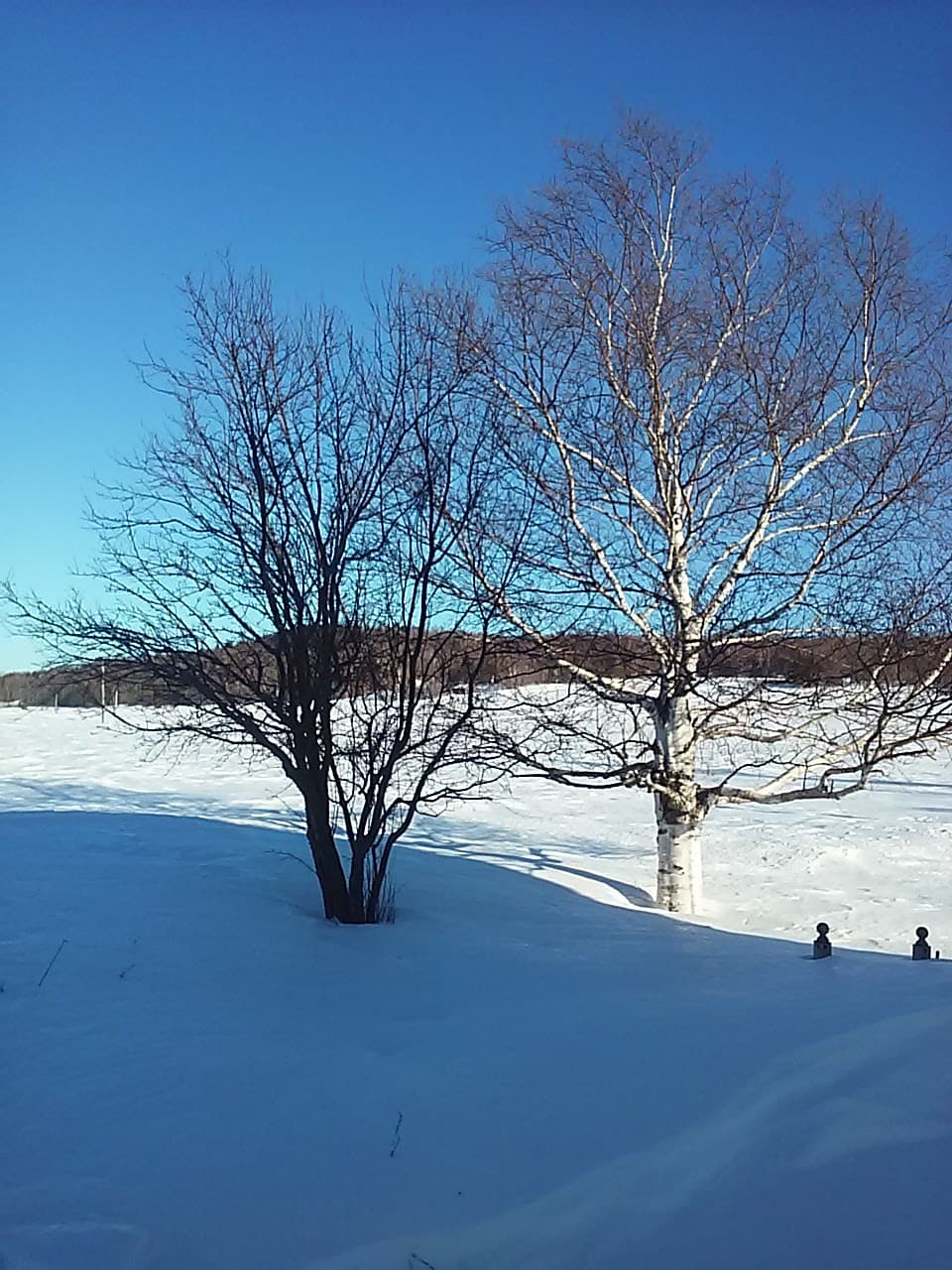 Résidence Les Quartiers des Rivières, photo 3