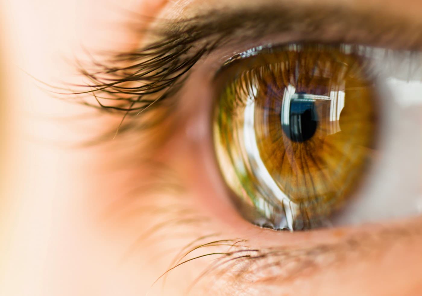 Revere Optical & Low Vision Clinic