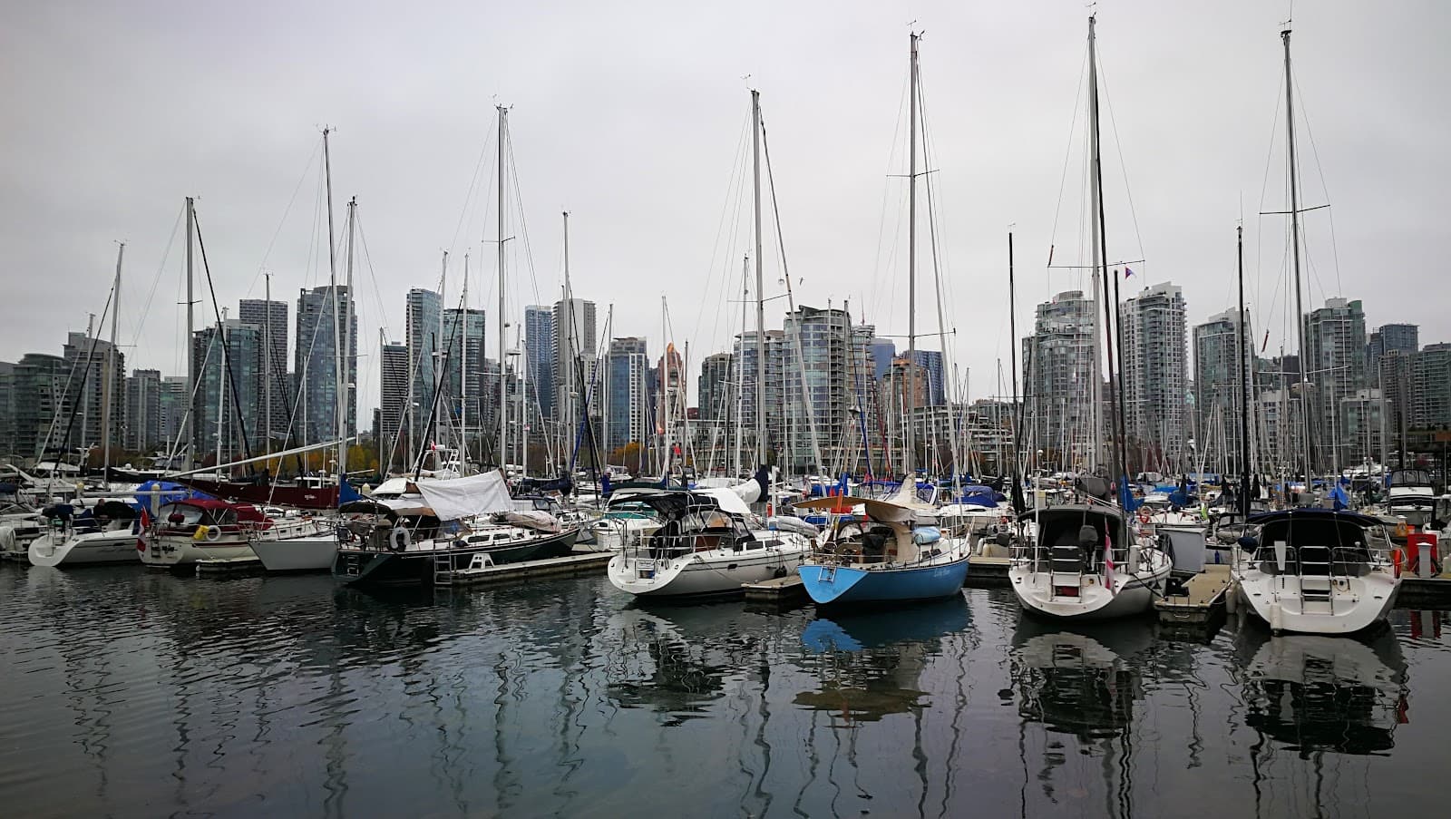 RILS False Creek Residence photo 3