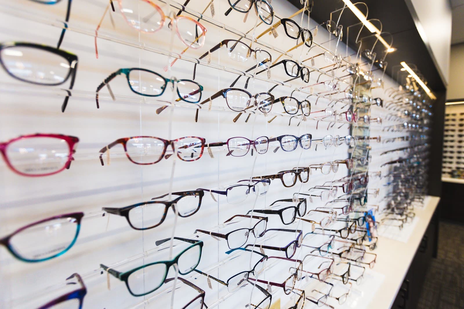 Royal Oak Optometry photo 3