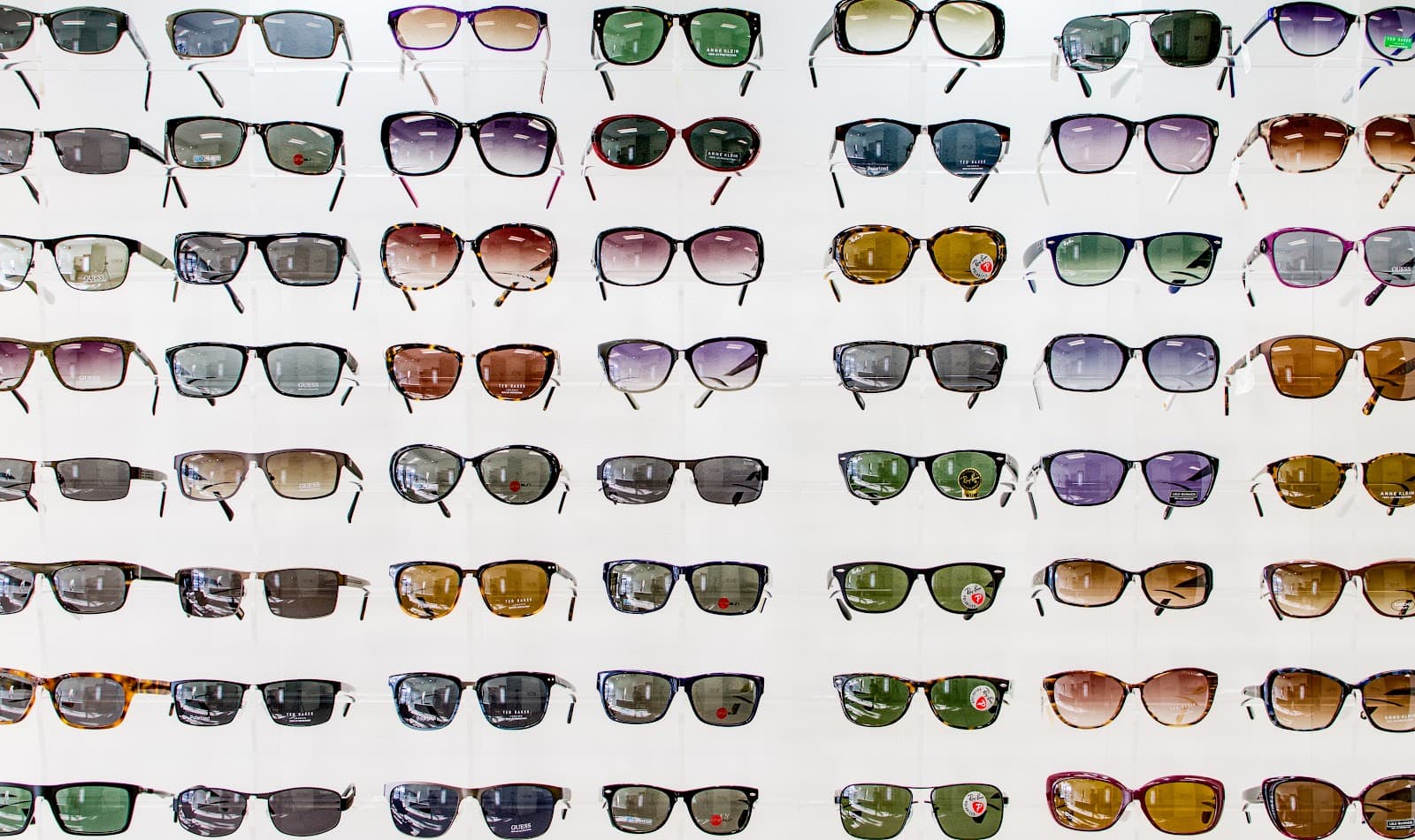 Royal Oak Optometry photo 4
