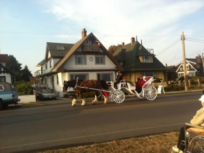 Saint Frances Manor By The Sea Seniors Residence photo 1 of 3