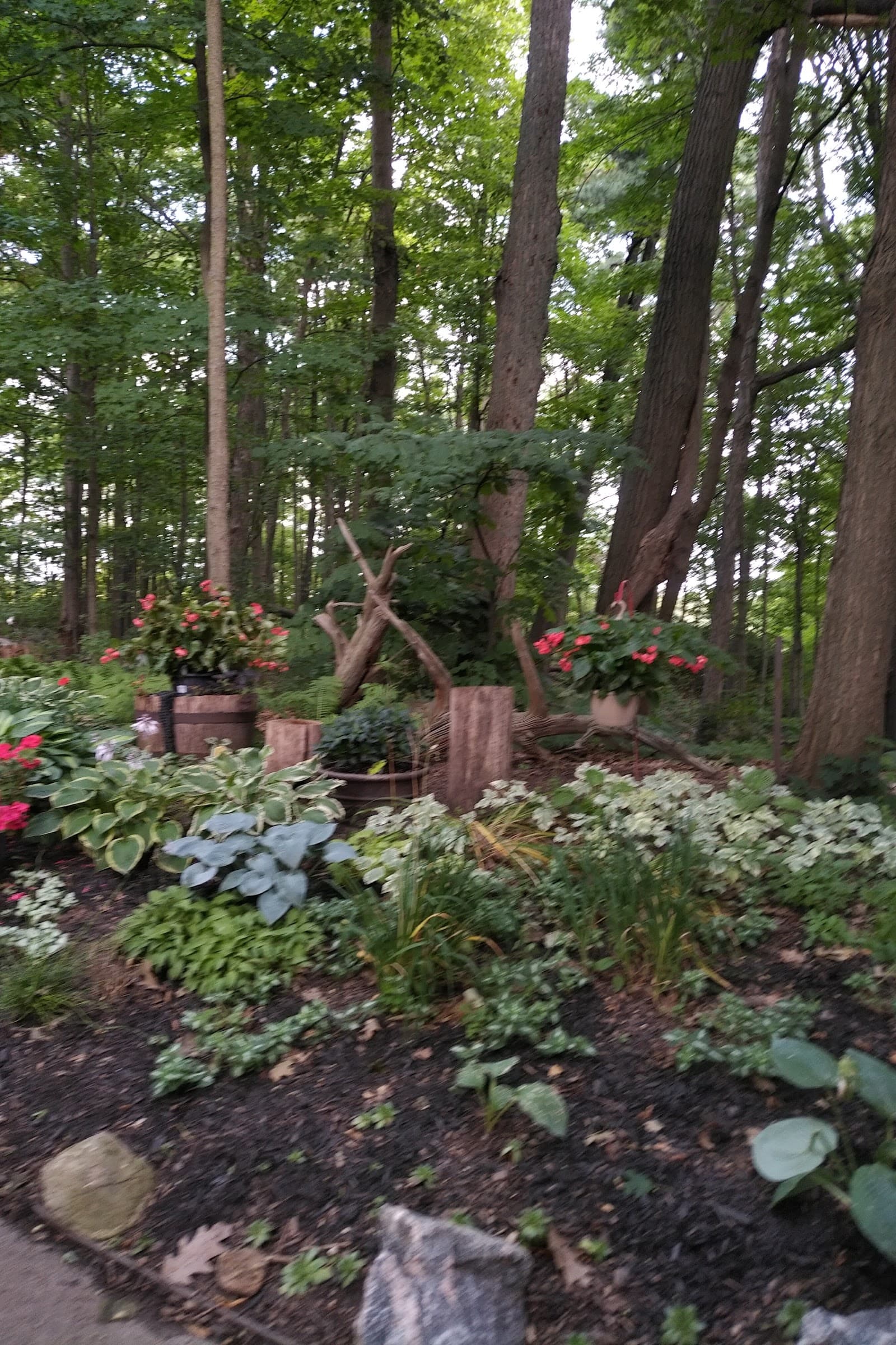 Saint Luke’s Place photo 1