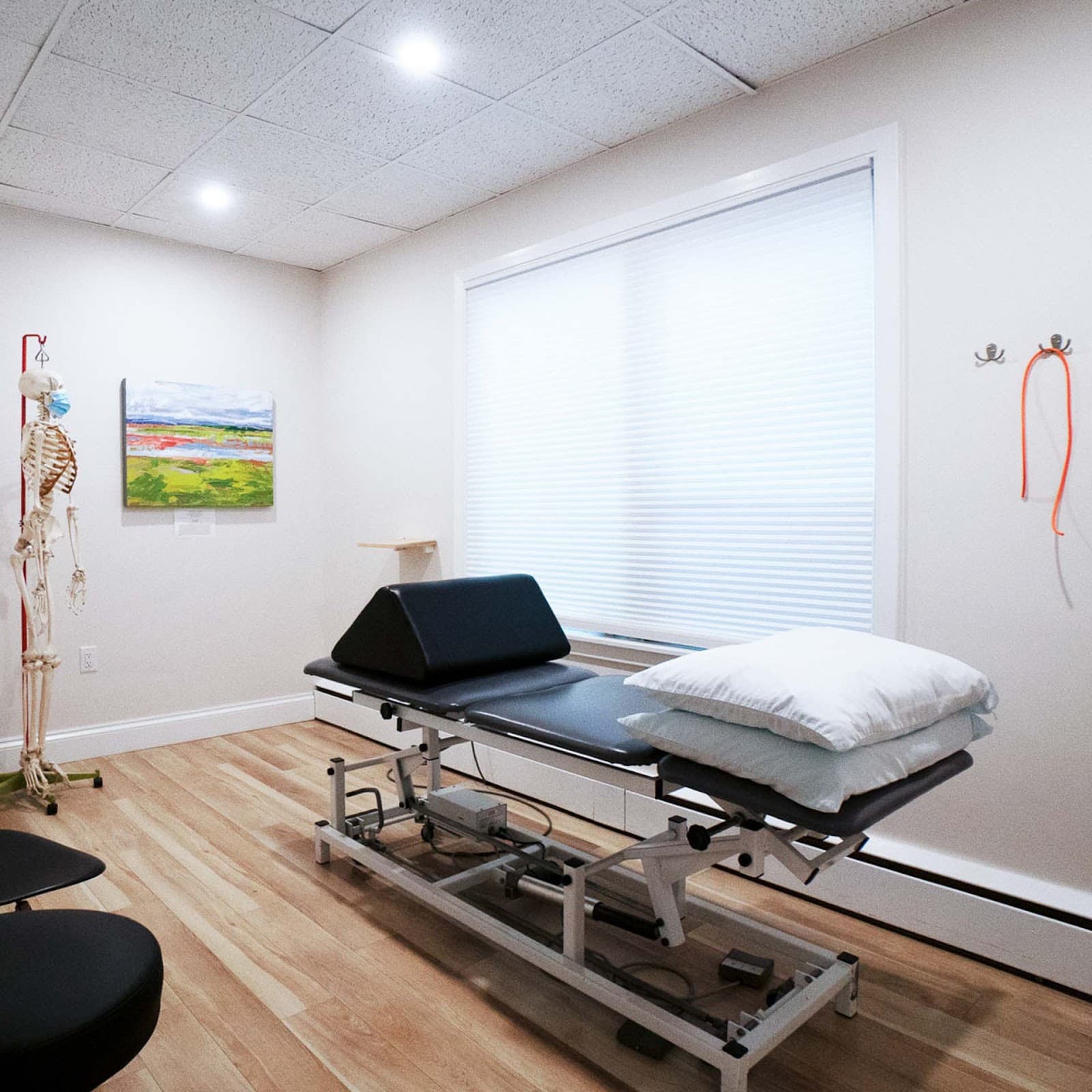 Scotia Physiotherapy photo 2