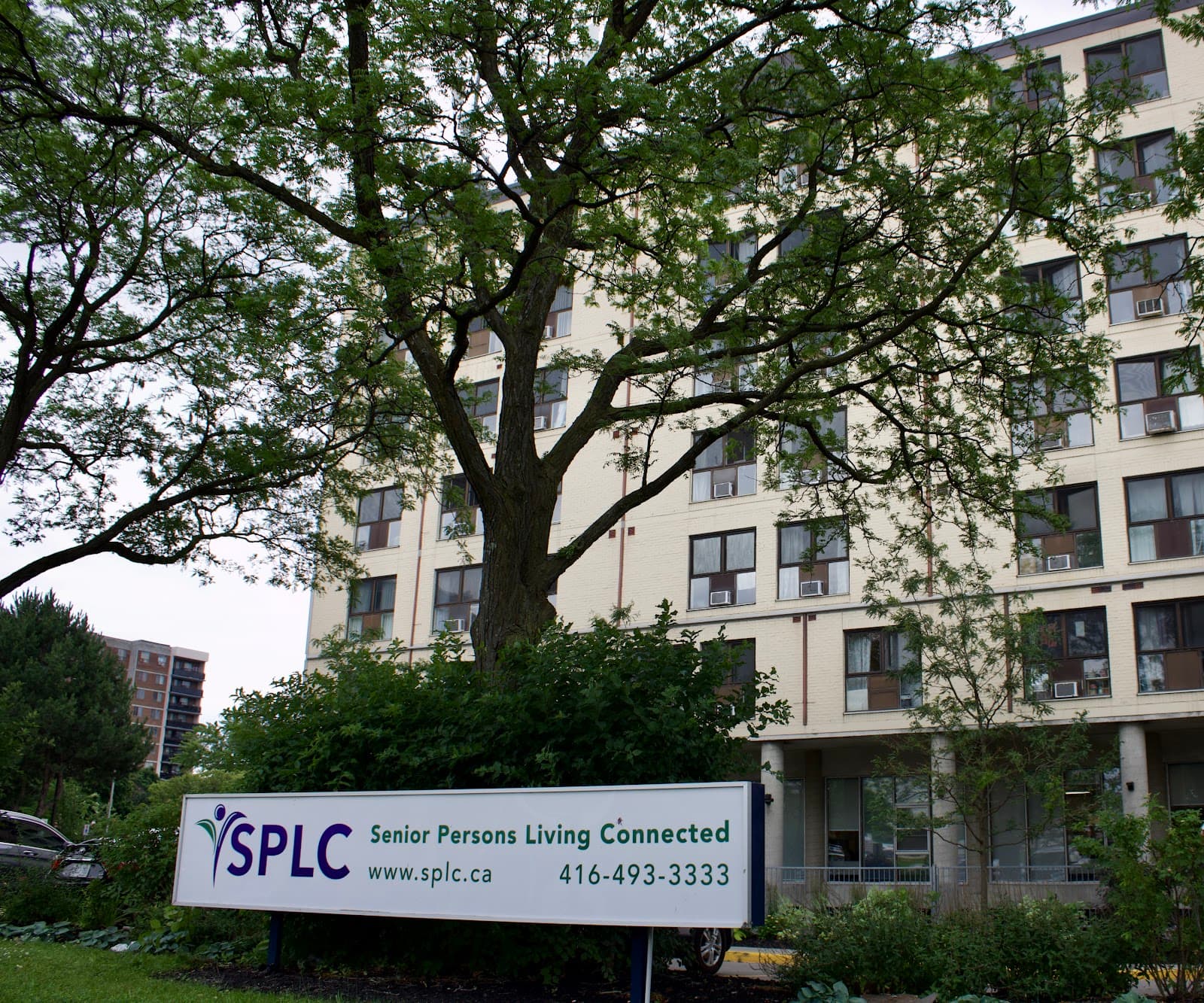 Senior Persons Living Connected photo 1 of 4