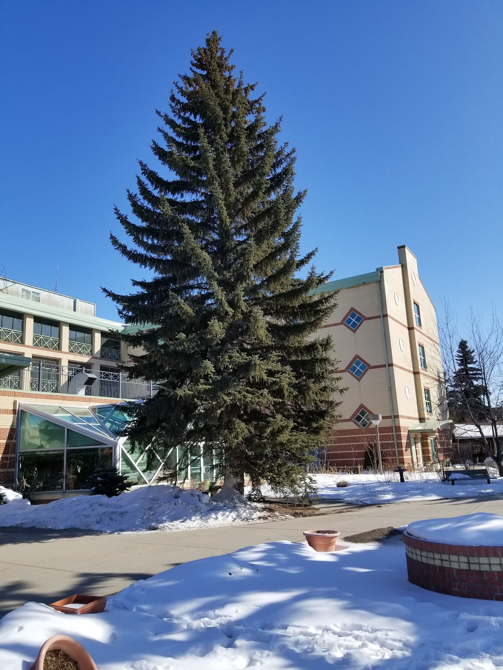 Sherbrooke Community Centre