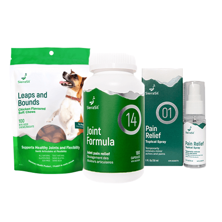 SierraSil Health Inc. photo 6